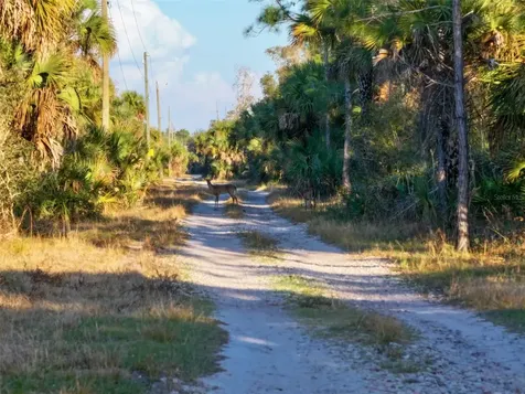 Black Burn Road Naples FL 34117