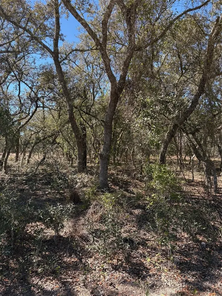 Tba SE SE 132nd Court Dunnellon FL 34431