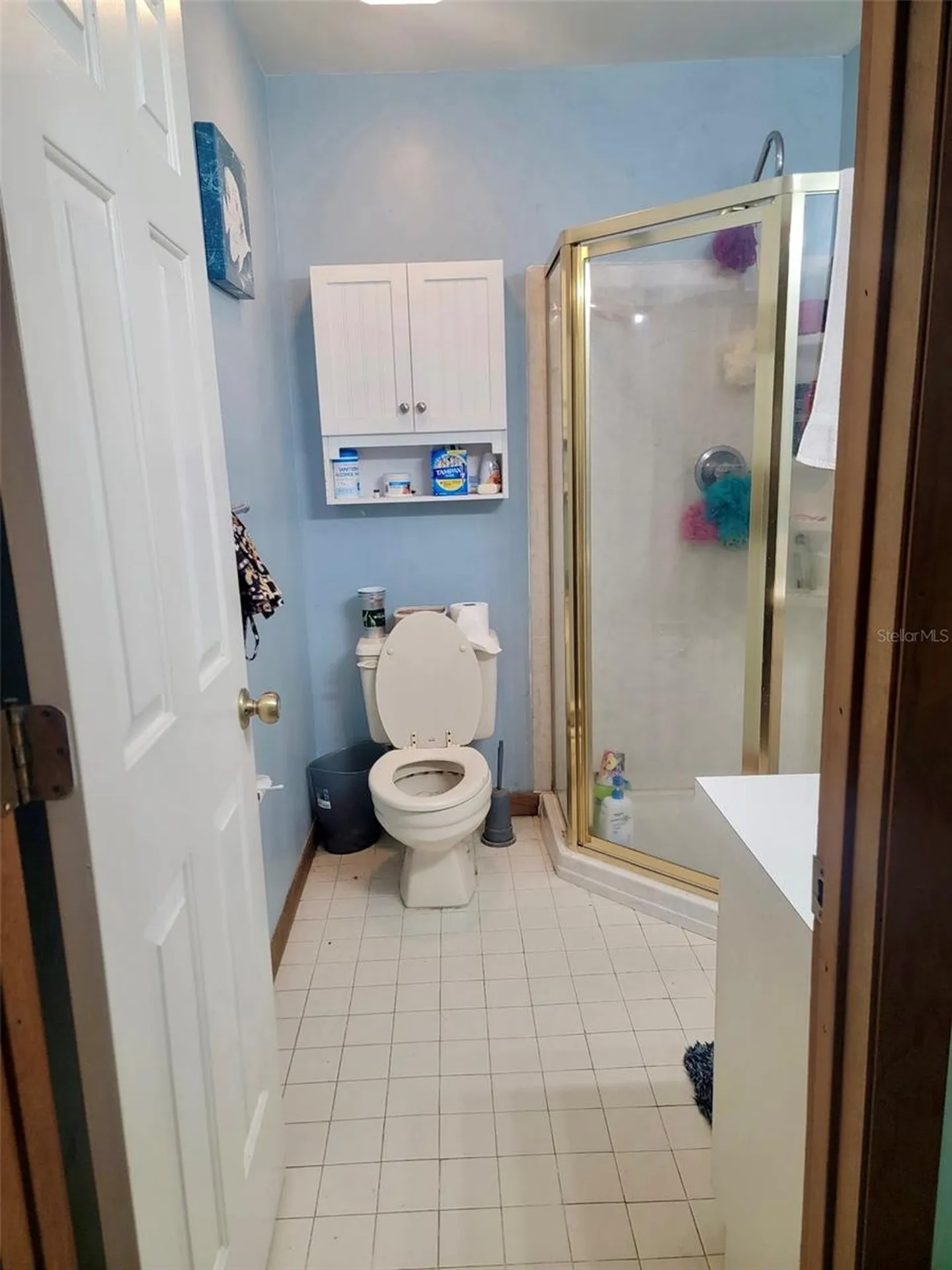 585 E Foresthill Place Hernando FL 34442