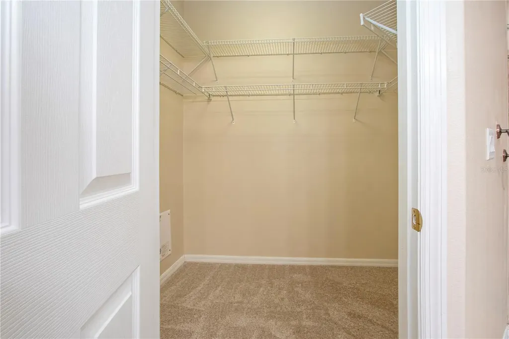 18048 Java Isle Drive Tampa FL 33647
