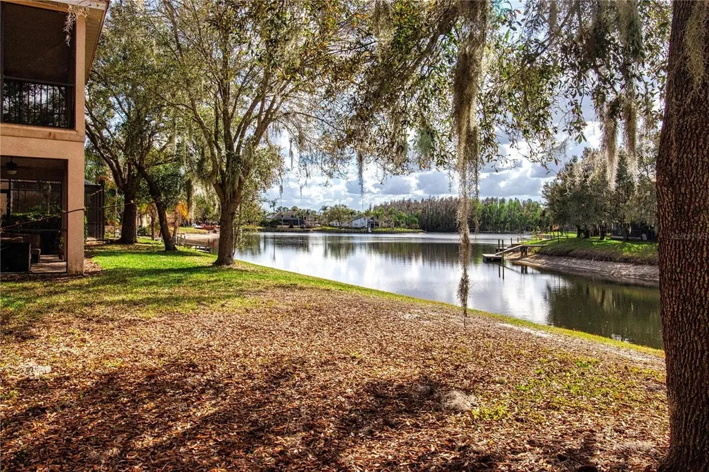 18048 Java Isle Drive Tampa FL 33647