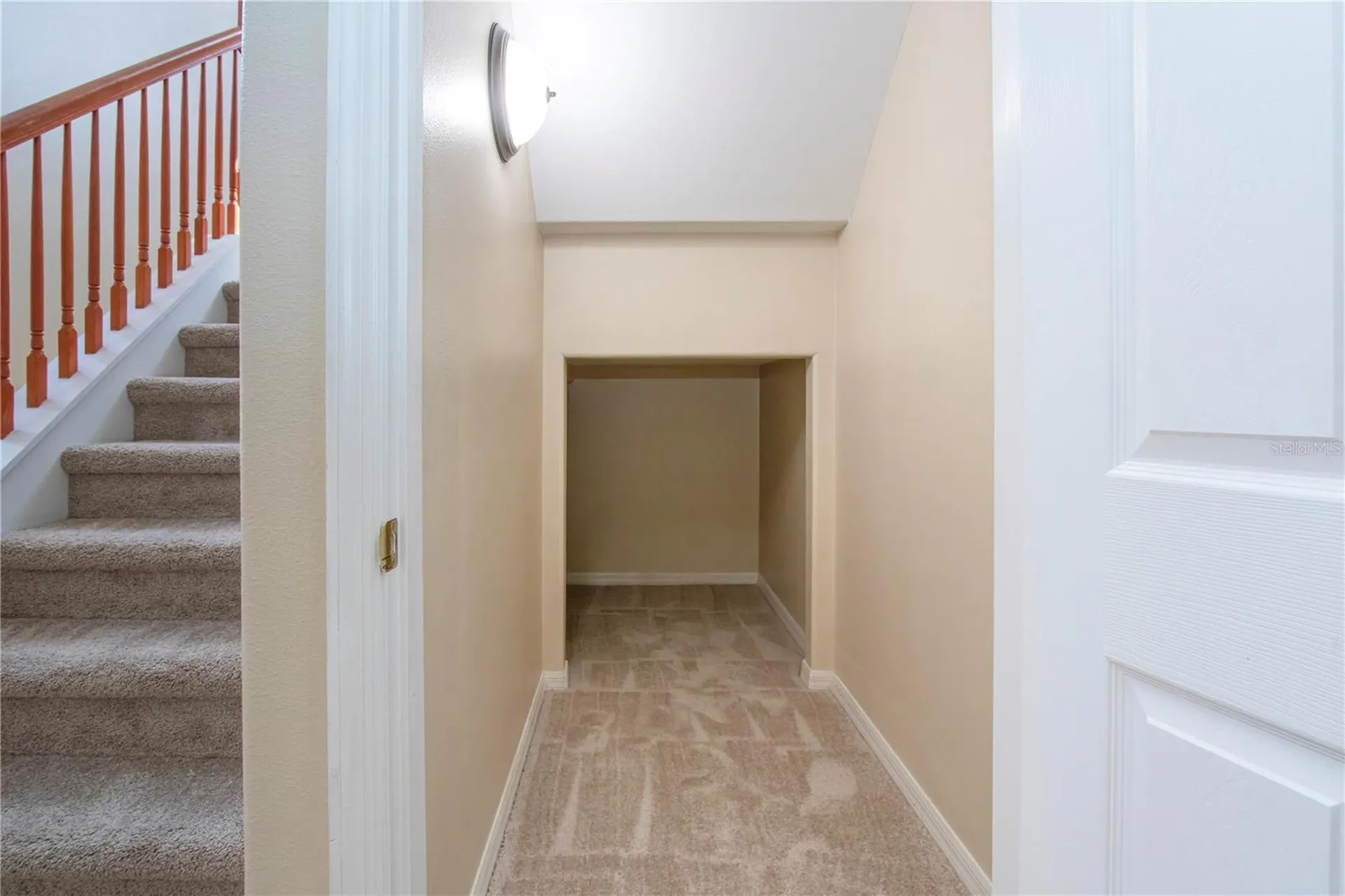 18048 Java Isle Drive Tampa FL 33647