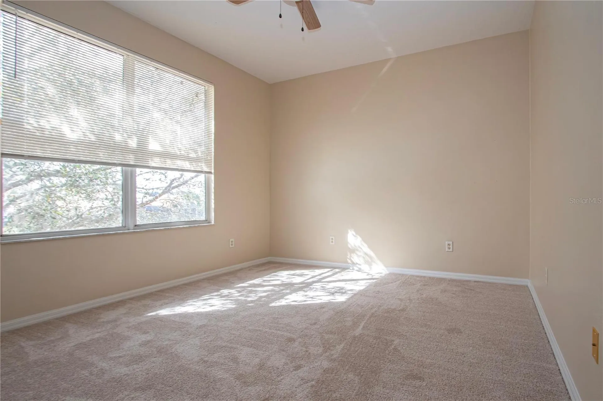 18048 Java Isle Drive Tampa FL 33647