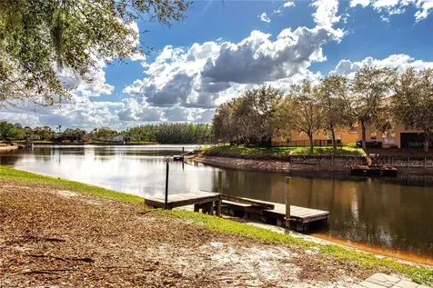 18048 Java Isle Drive Tampa FL 33647