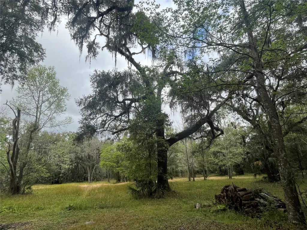 10423 Cheever Road Brooksville FL 34601