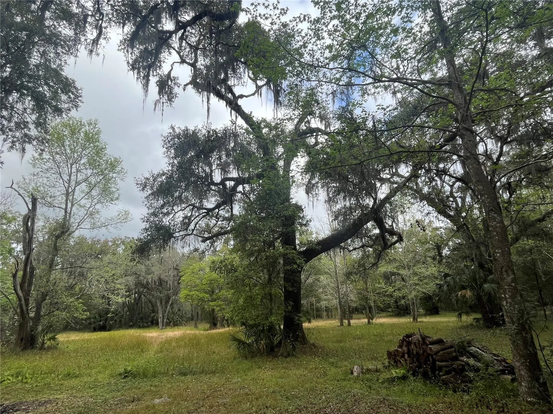 10423 Cheever Road Brooksville FL 34601
