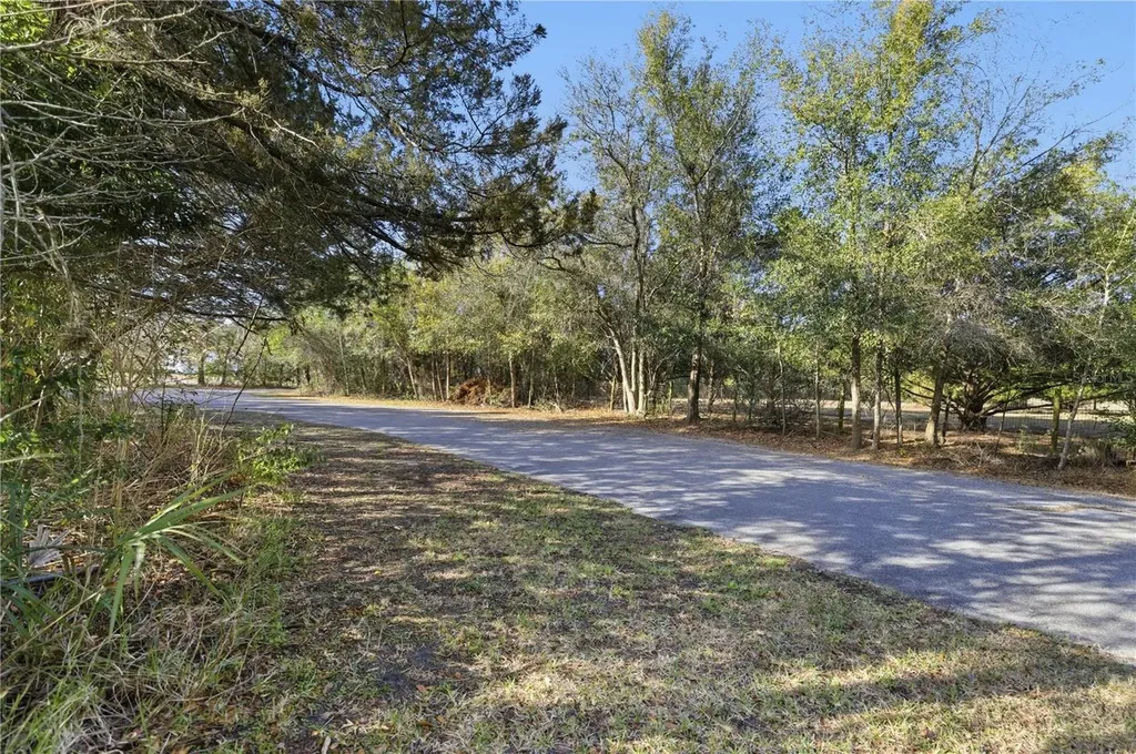 10689 SE 174th Loop Summerfield FL 34491