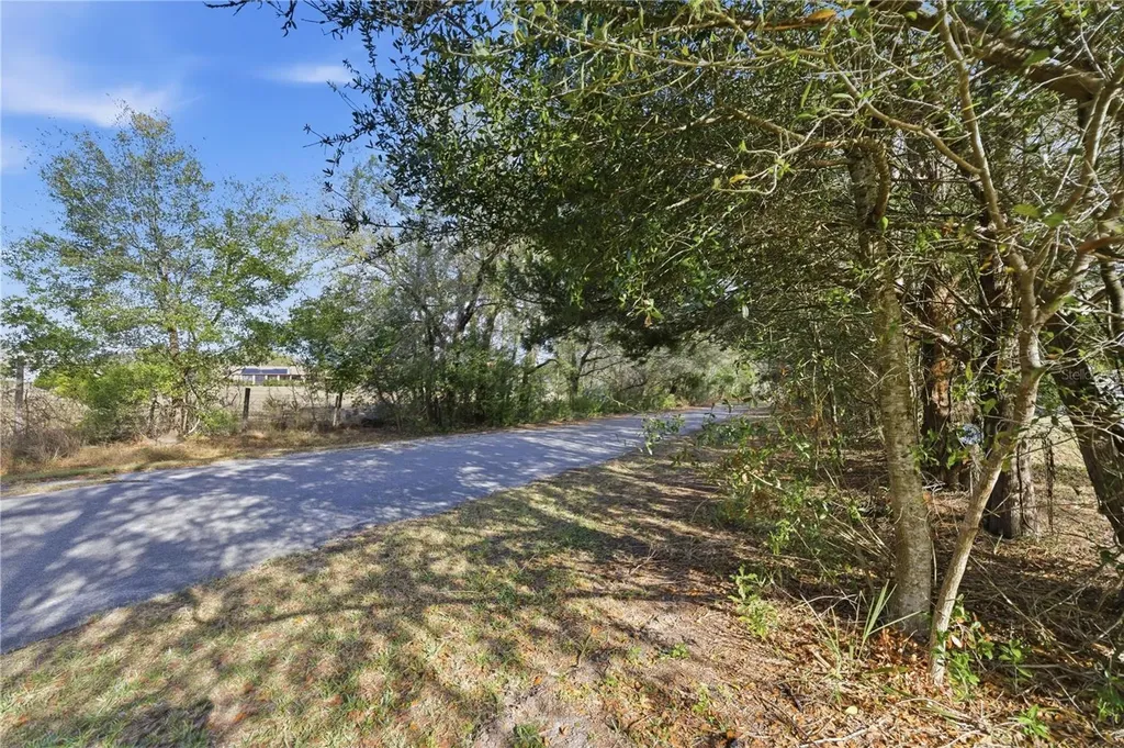 10689 SE 174th Loop Summerfield FL 34491