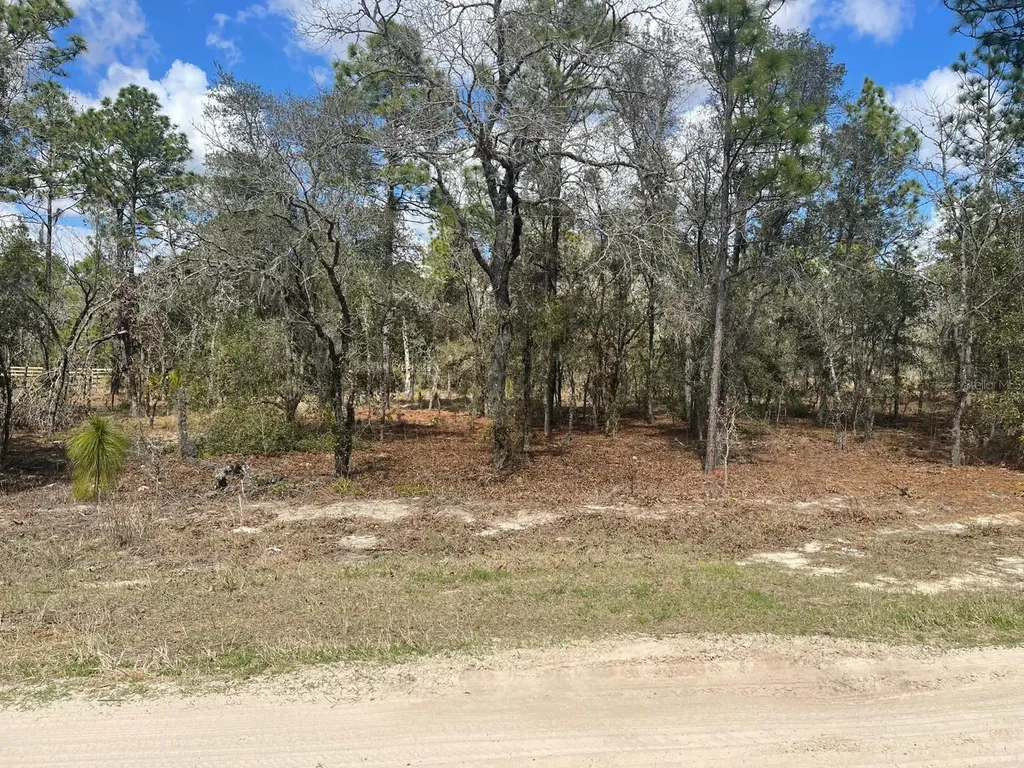 Ocala FL 34481