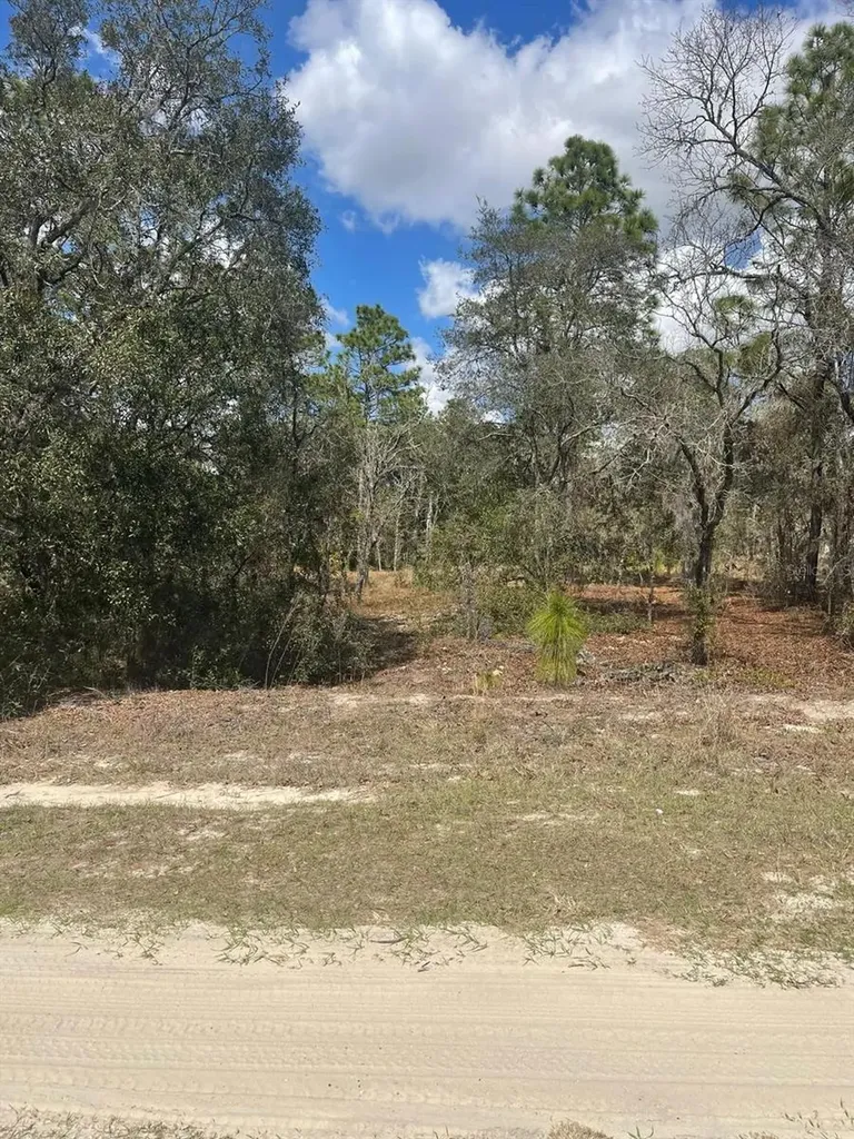 Ocala FL 34481