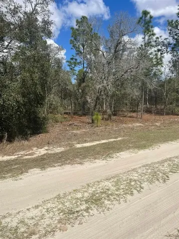 Ocala FL 34481