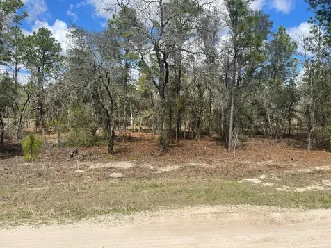 Ocala FL 34481