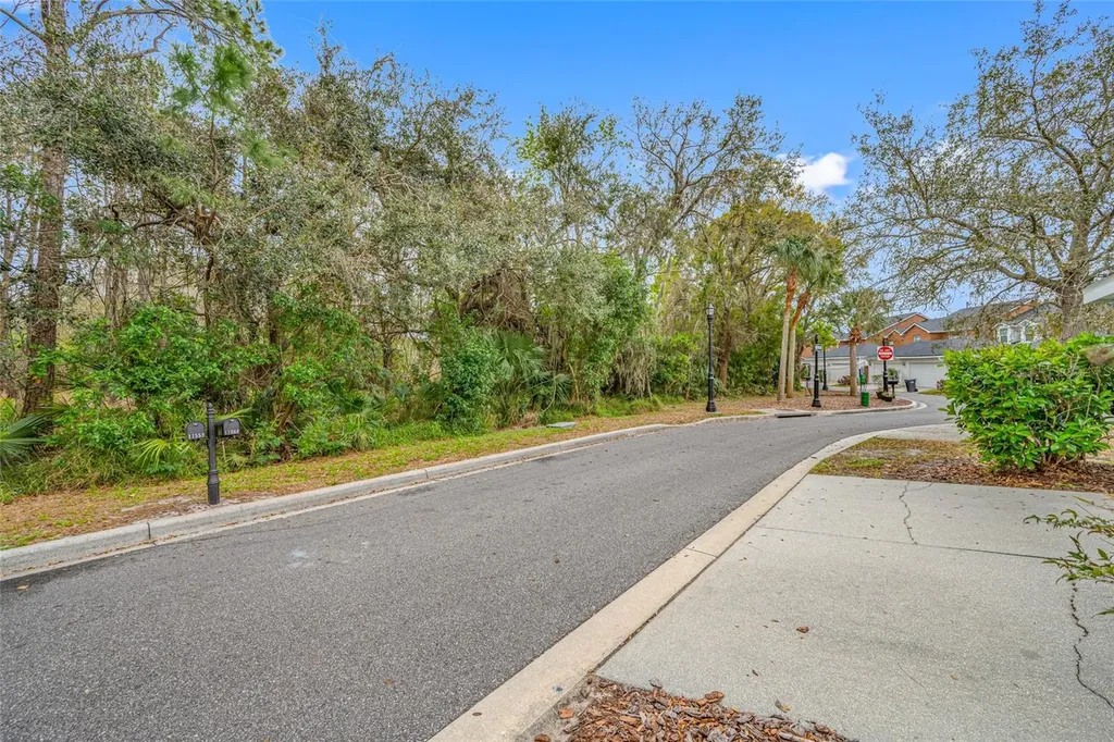 11560 Fountainhead Drive Tampa FL 33626