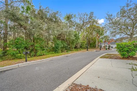 11560 Fountainhead Drive Tampa FL 33626