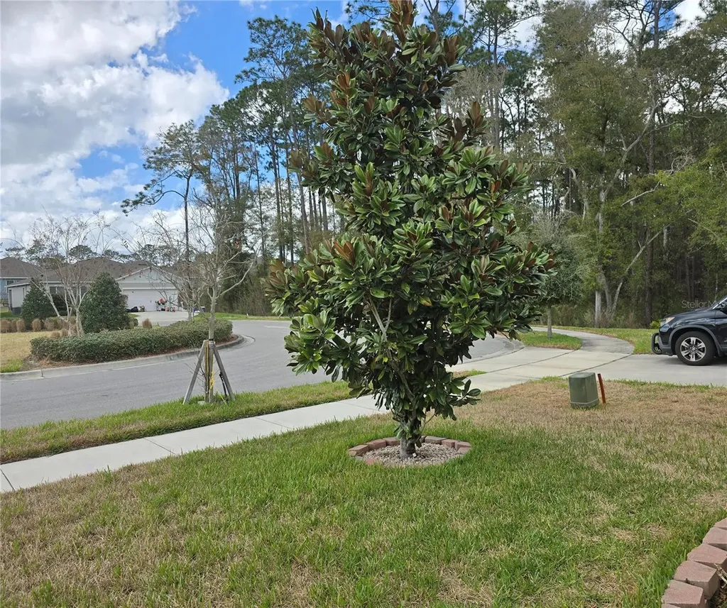 532 Emily Glen Street Deland FL 32724