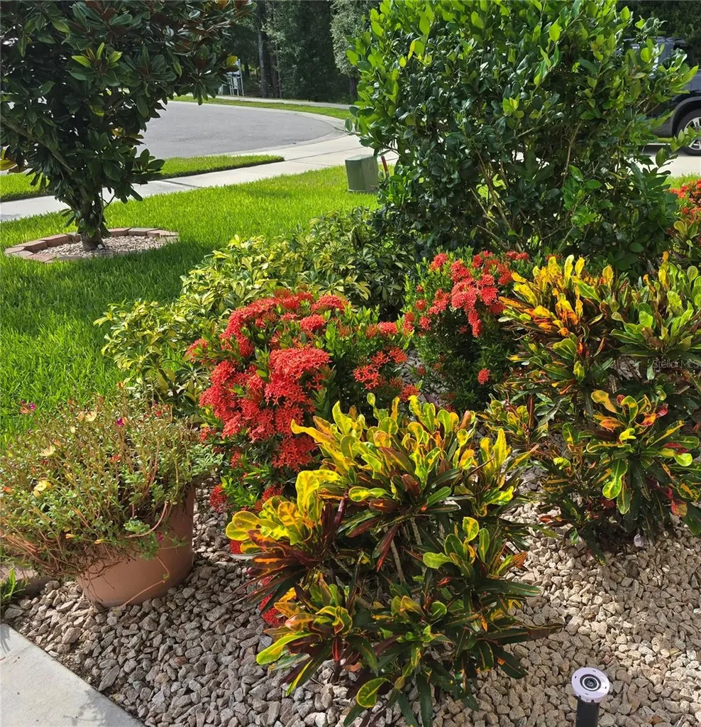 532 Emily Glen Street Deland FL 32724