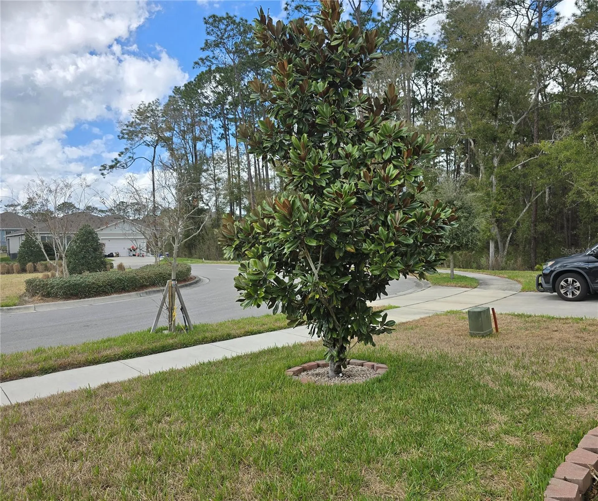 532 Emily Glen Street Deland FL 32724