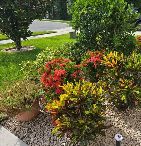 532 Emily Glen Street Deland FL 32724