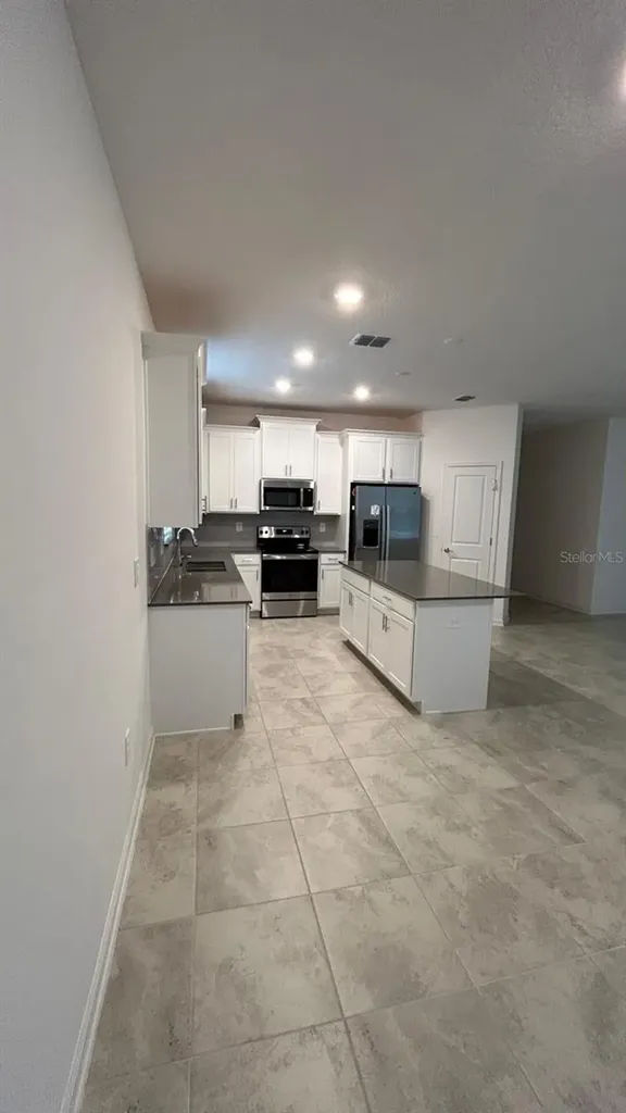 913 Laurel View Way Groveland FL 34736