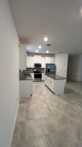 913 Laurel View Way Groveland FL 34736