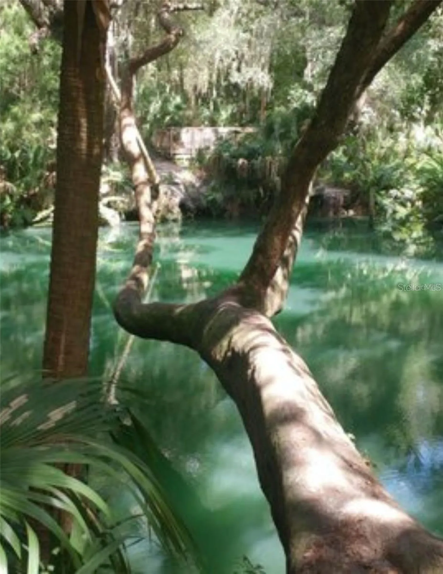 120 Hibiscus Woods Court Deltona FL 32725