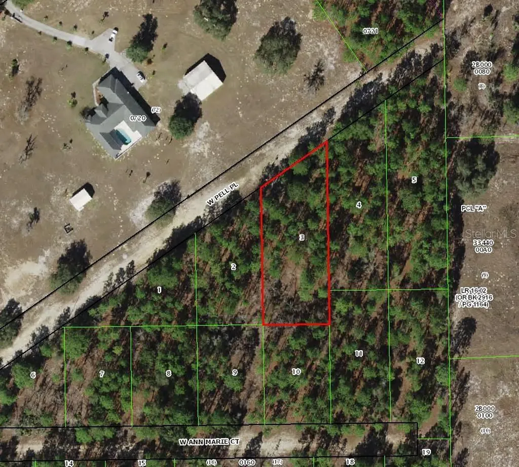 6046 W Pell Place Dunnellon FL 34433