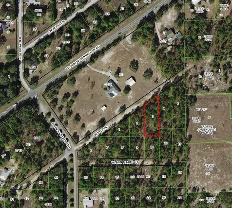 6046 W Pell Place Dunnellon FL 34433