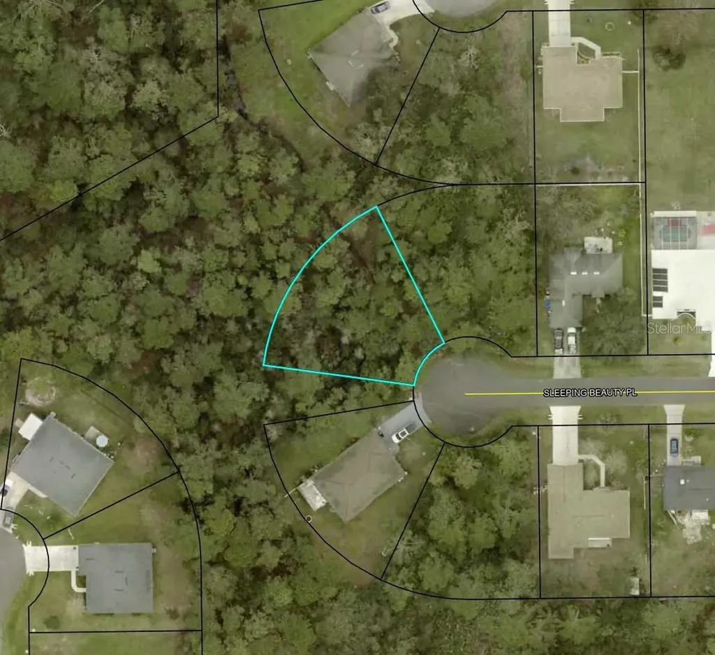 16 Sleeping Beauty Place Palm Coast FL 32164