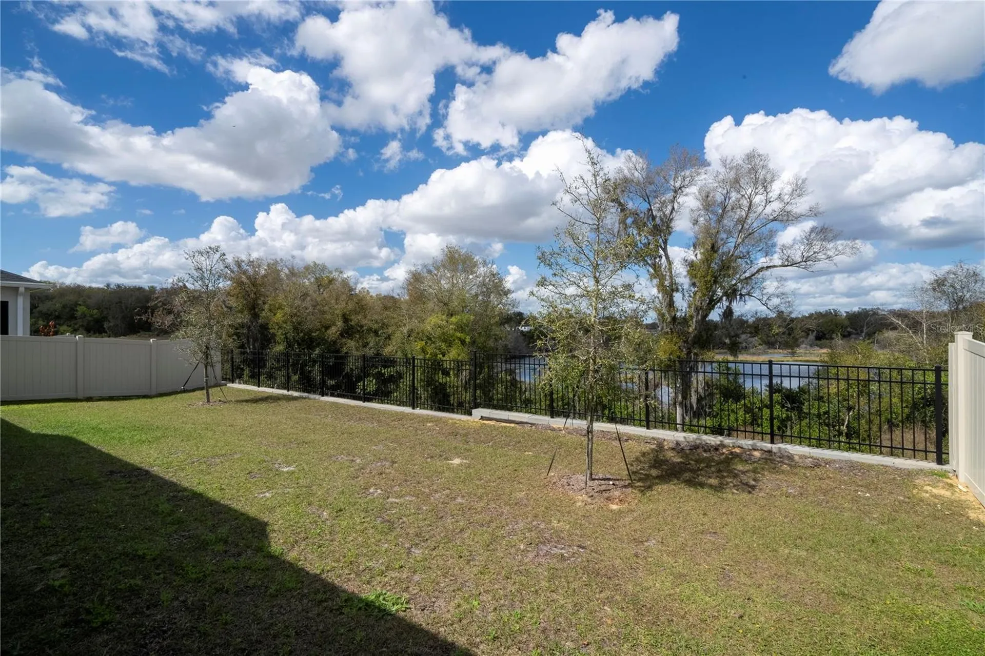 734 Creeping Fig Street Apopka FL 32703