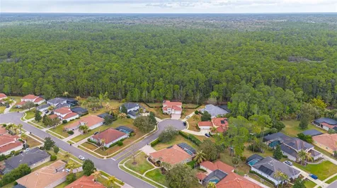 942 Elm Harbor Court Lake Mary FL 32746