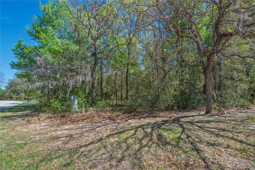 1 Pine Street Homosassa FL 34446