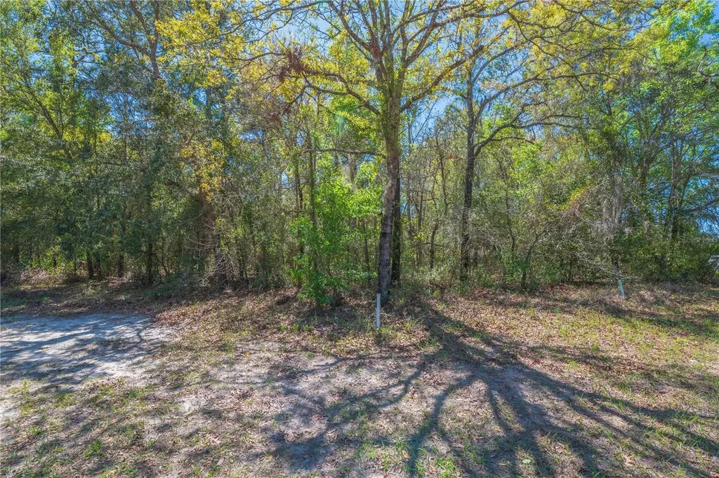 1 Pine Street Homosassa FL 34446