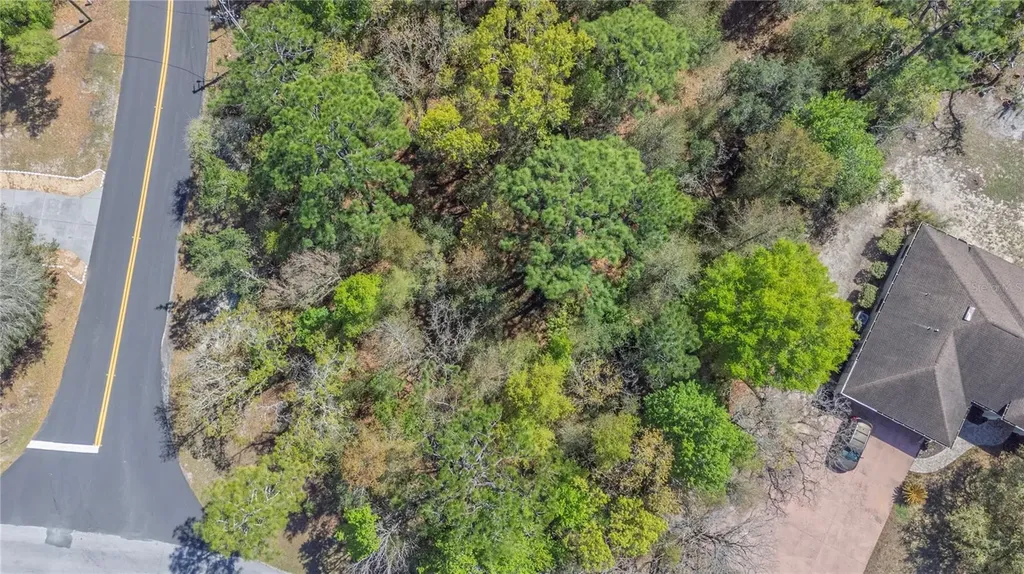1 Pine Street Homosassa FL 34446