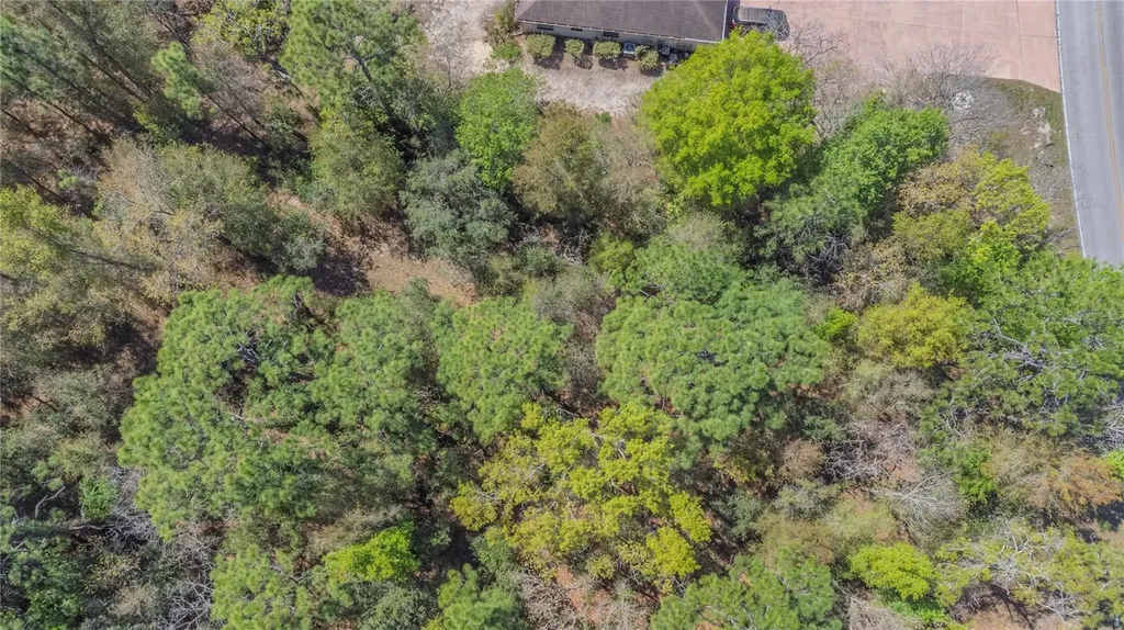 1 Pine Street Homosassa FL 34446