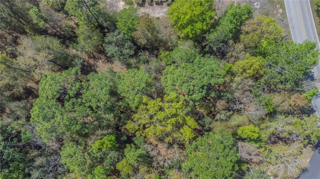 1 Pine Street Homosassa FL 34446