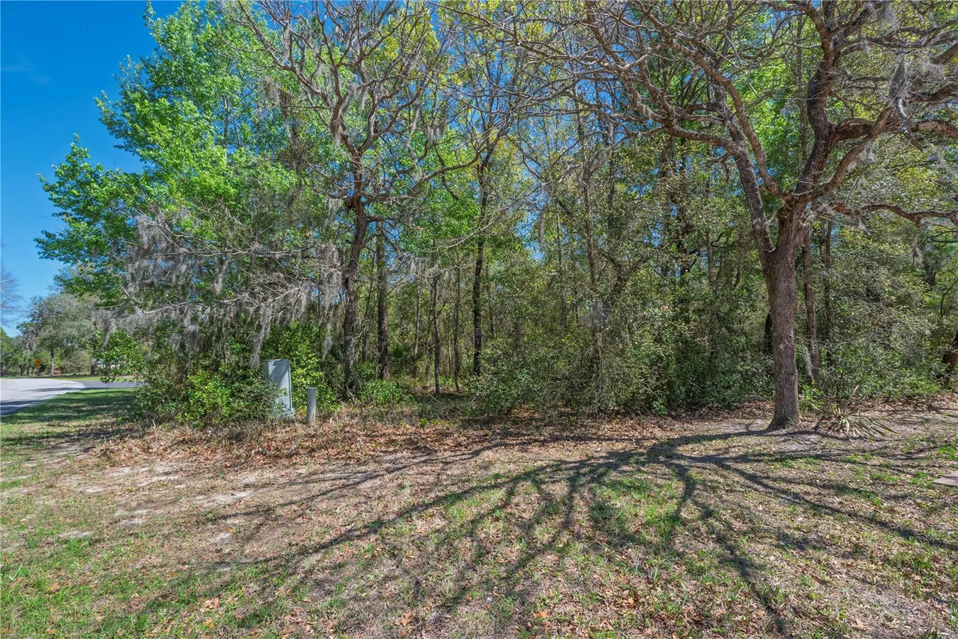 1 Pine Street Homosassa FL 34446