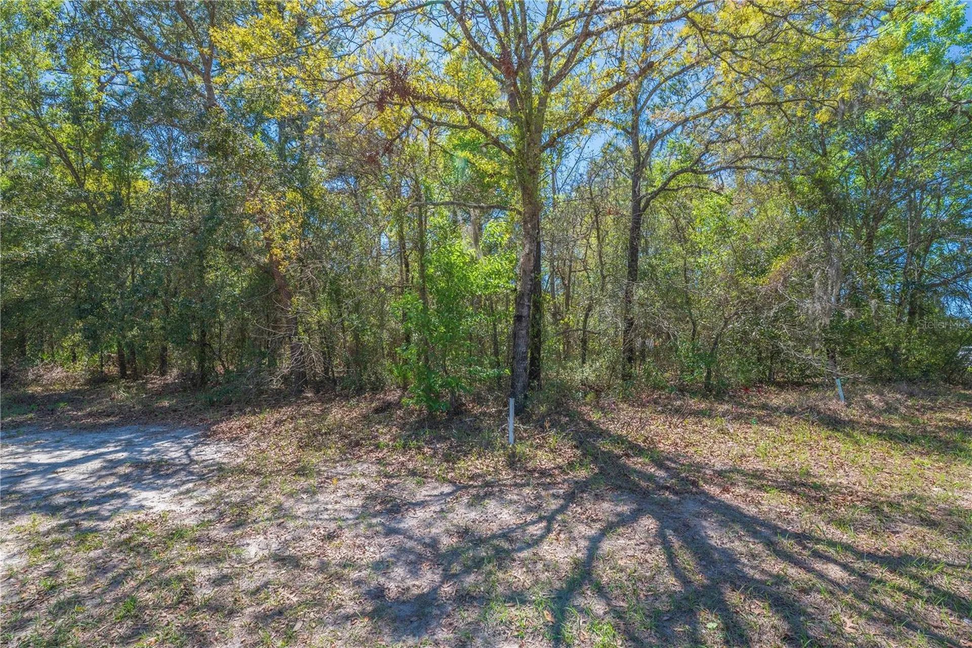 1 Pine Street Homosassa FL 34446