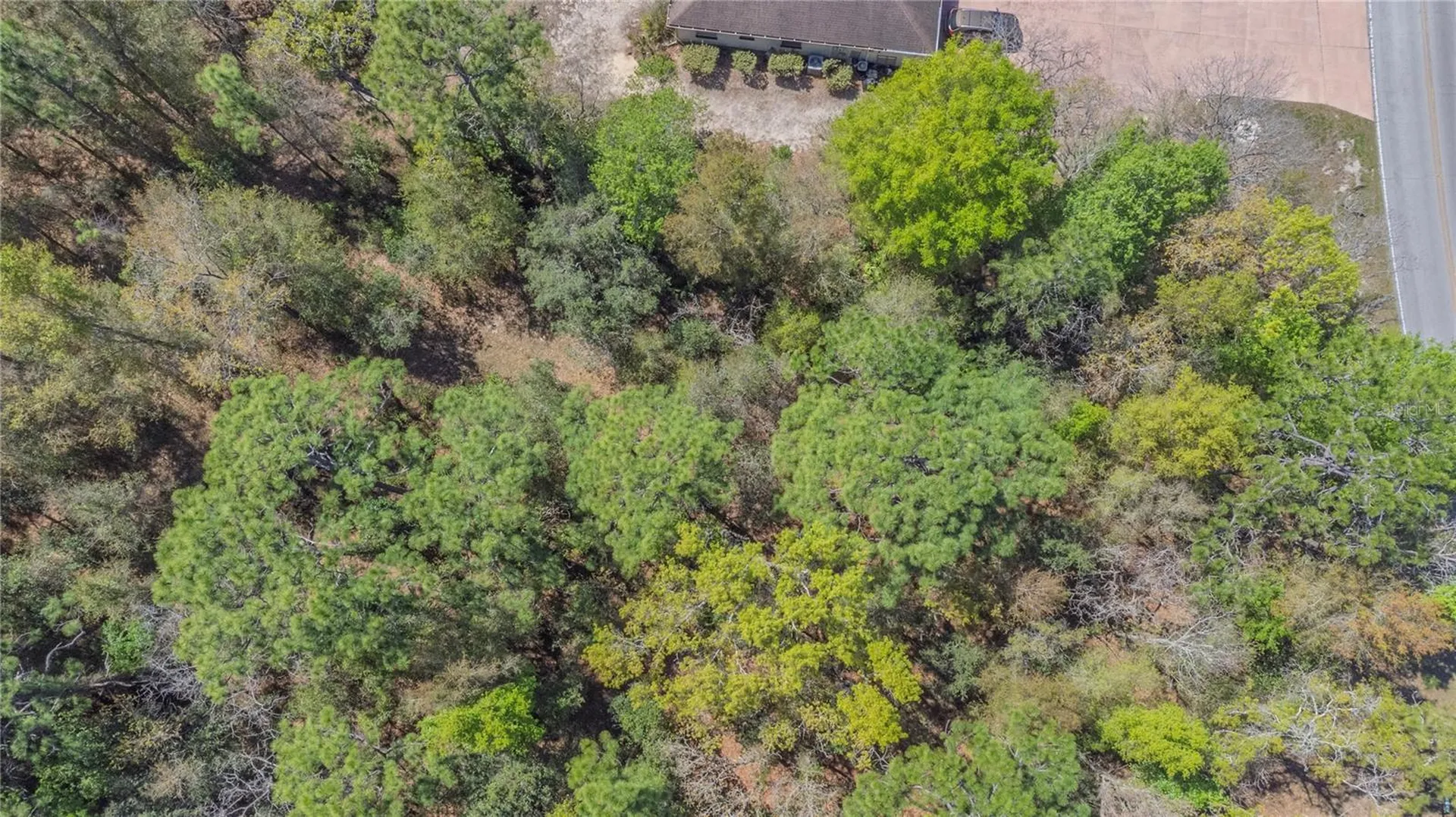 1 Pine Street Homosassa FL 34446