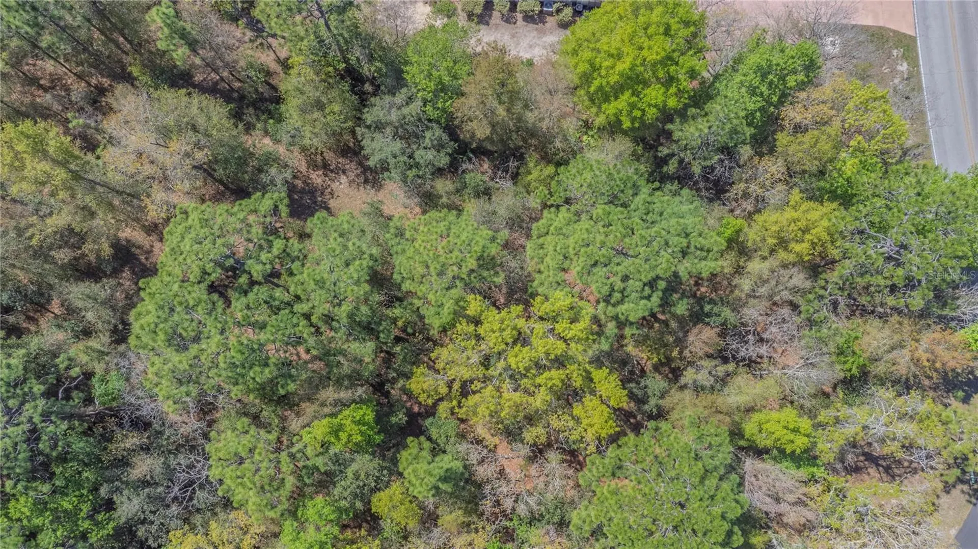 1 Pine Street Homosassa FL 34446