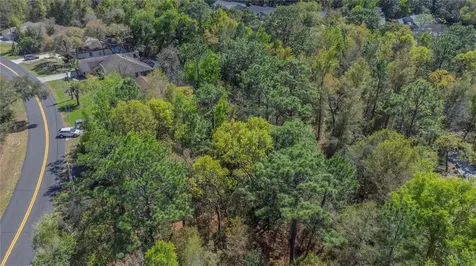 1 Pine Street Homosassa FL 34446
