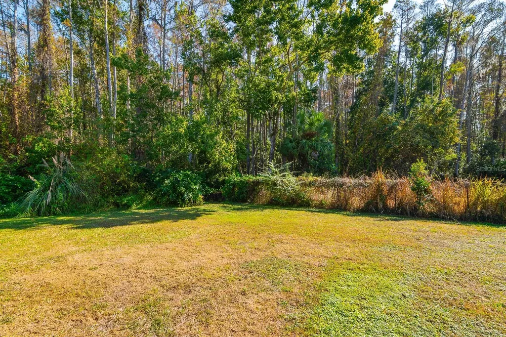 10206 Lakeview Drive New Port Richey FL 34654