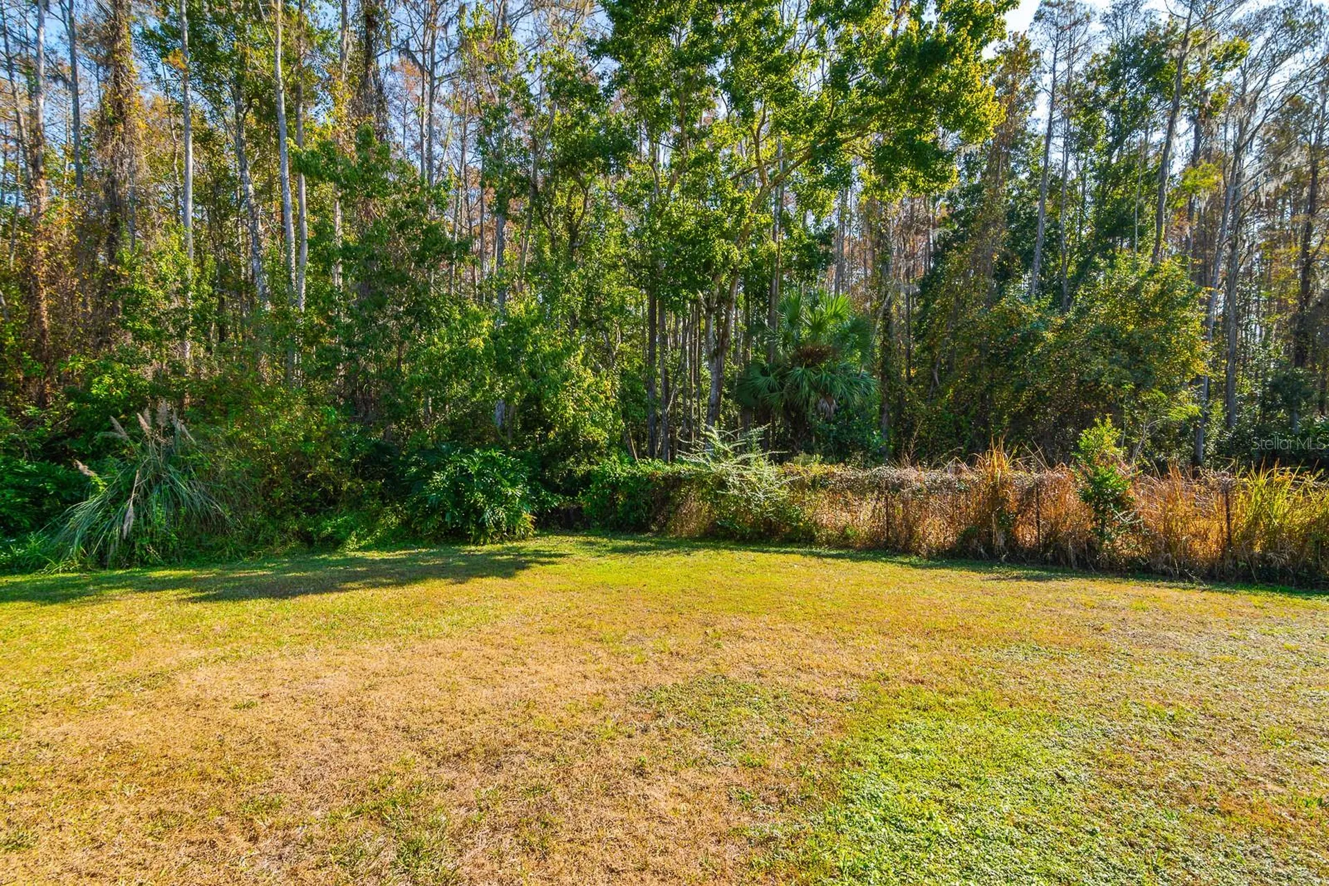 10206 Lakeview Drive New Port Richey FL 34654