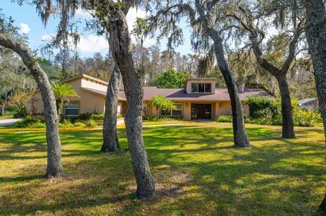 10206 Lakeview Drive New Port Richey FL 34654