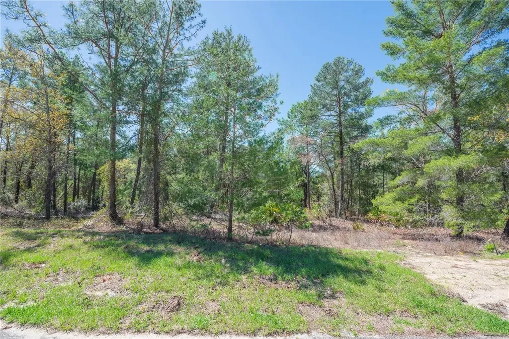 6 Heuchera Court E Homosassa FL 34446