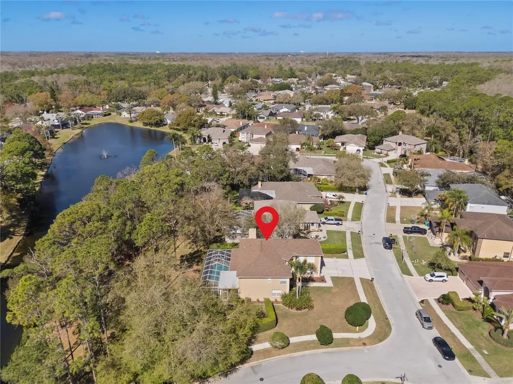 4202 Rotherham Court Palm Harbor FL 34685