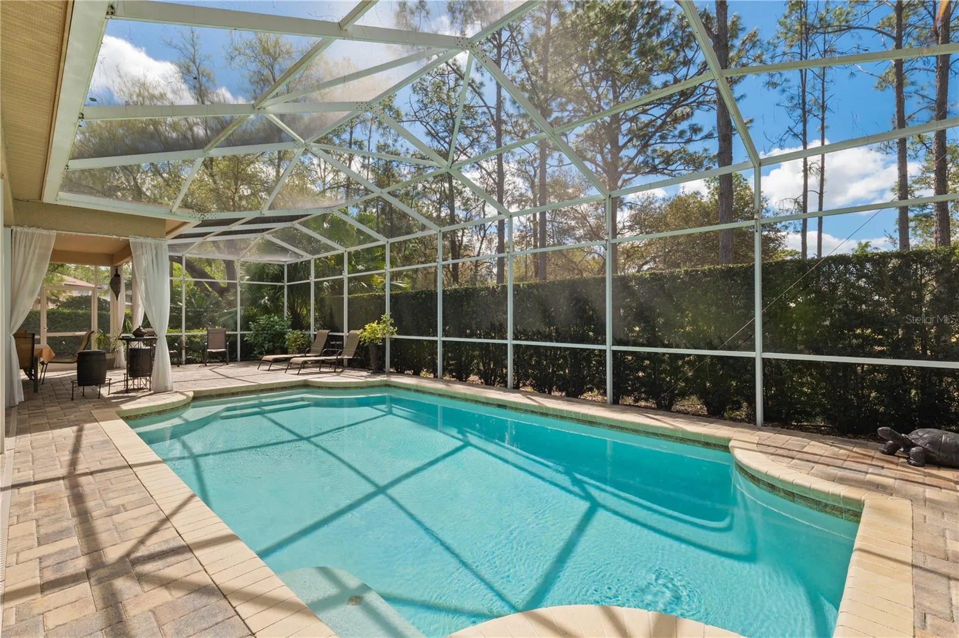 4202 Rotherham Court Palm Harbor FL 34685