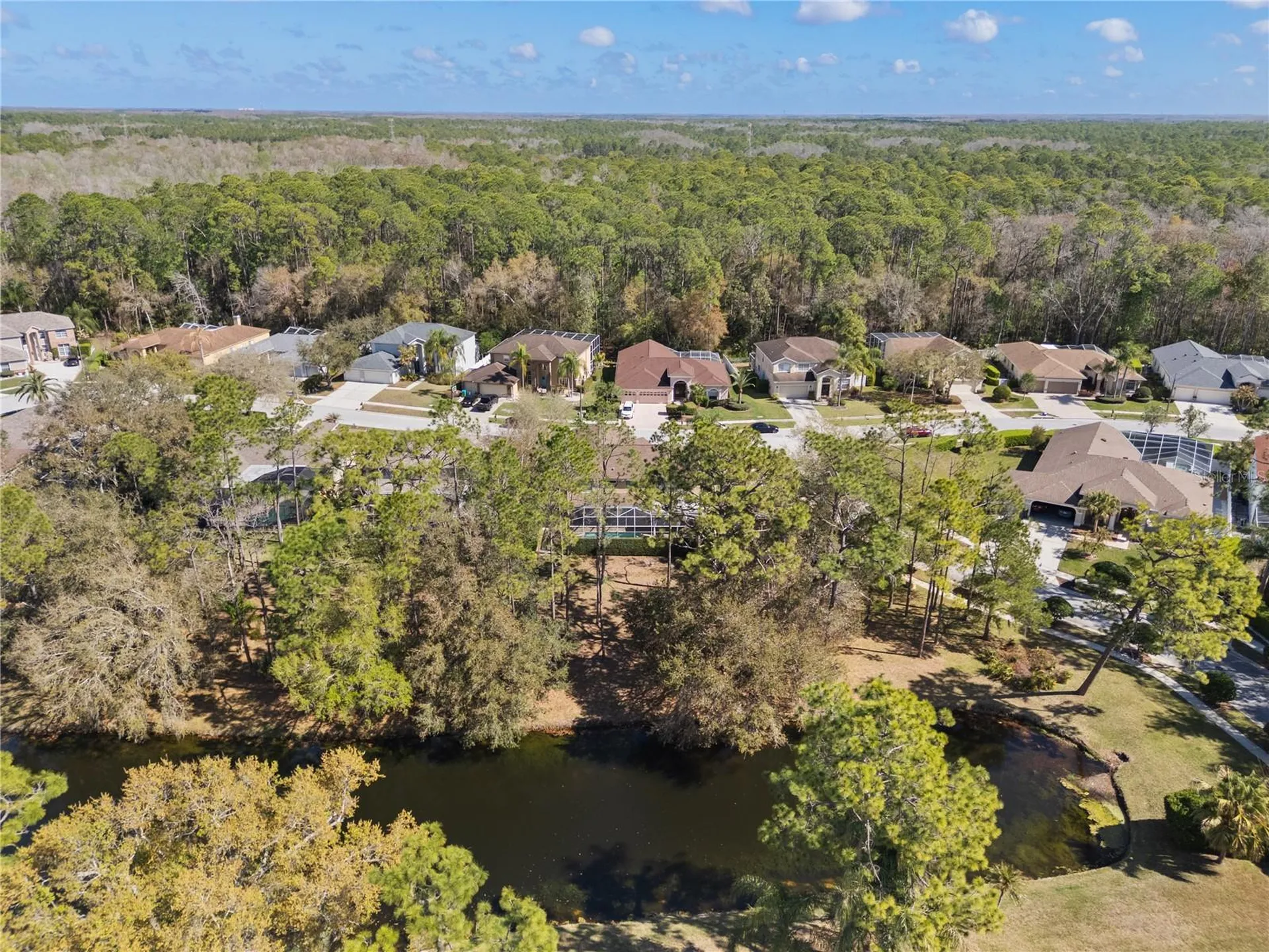 4202 Rotherham Court Palm Harbor FL 34685