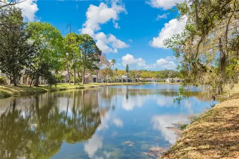 4202 Rotherham Court Palm Harbor FL 34685