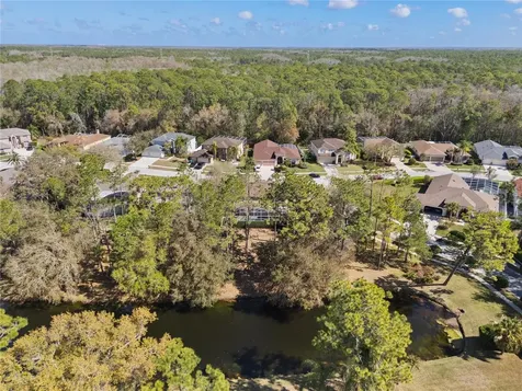 4202 Rotherham Court Palm Harbor FL 34685
