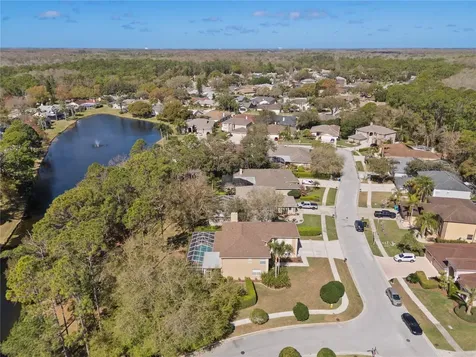 4202 Rotherham Court Palm Harbor FL 34685